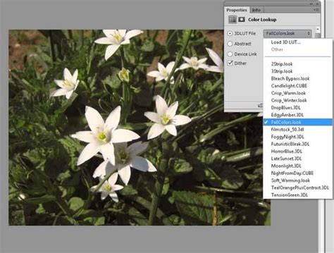 Обзор Adobe Photoshop Cs6 Beta рай для фотографа