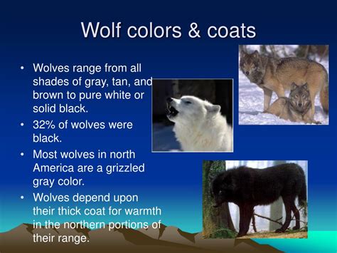 Ppt Wolf Presentation Powerpoint Presentation Free Download Id 359082