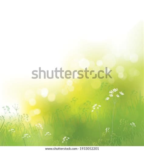 Vector Green Bokeh Nature Background Stock Vector Royalty Free