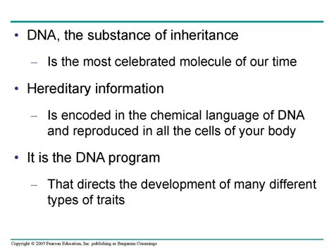 The Molecular Basis Of Inheritance презентация онлайн