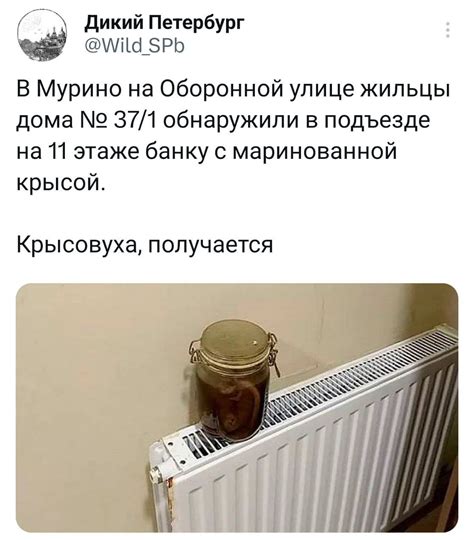 Крысовуха / кротовуха :: twitter :: Мемы (Мемосы, мемасы, мемосики ...