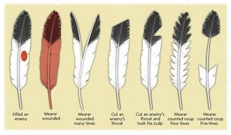 Feather Meanings Native American Feathers Native American Tattoos Native American Eagle