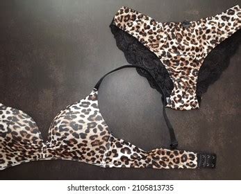 Leopard Lingerie Set Lace Panties On Stock Photo 2105813735 Shutterstock