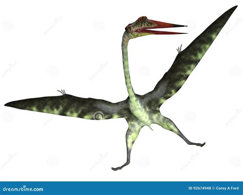 Quetzalcoatlus From The Cretaceous Era 3d Illustration Cartoondealer