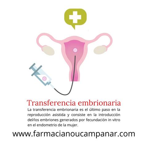 Transferencia Embrionaria En Transferencia Embrionaria