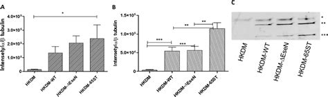 Edwardsiella Ictaluri T3ss Effector Esen Is A Phosphothreonine Lyase