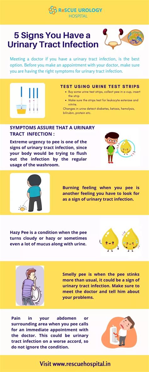 Ppt Signs You Have A Urinary Tract Infection Good Urologist In