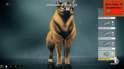 Wts Collection Of Rare Kubrow Trading Post Warframe Forums