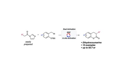 N Heterocyclic Carbene Catalyzed Enantioselective Annulations A Dual