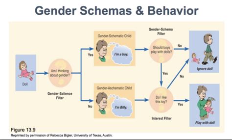 CH13 Development Of Sex Differences And Gender Roles Flashcards Quizlet