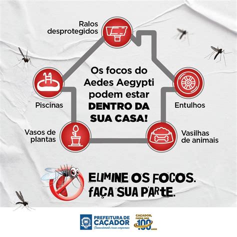 Faça A Sua Parte E Ajude No Combate Ao Mosquito Da Dengue Em Caçador