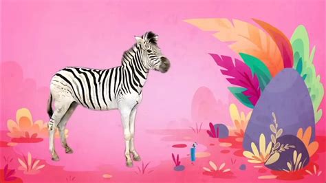 StoryBots Songs: He's A Zebra - YouTube