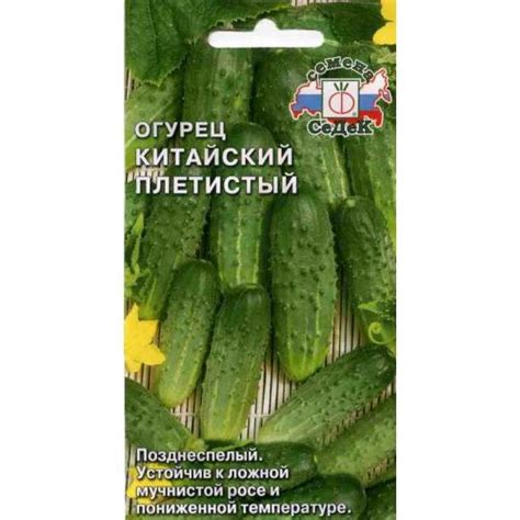 Огурец Китайский «Плетистый»: семена, описание, фото.