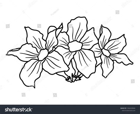 Hand Drawing Sketch Flower Line Art Stock Vector Royalty Free