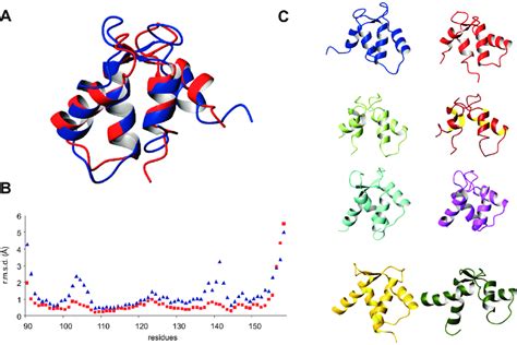 Structural Comparison A Structural Superposition Of Apo Blue And Download Scientific