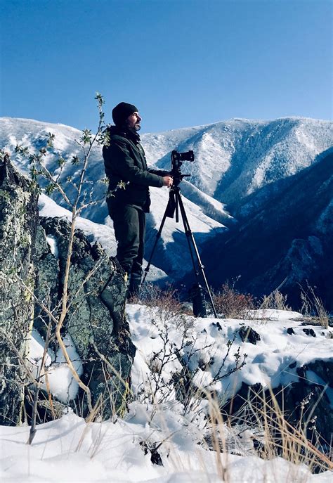 Arte Conoce M S De Los Glaciares Andinos A Trav S De Una Excelente