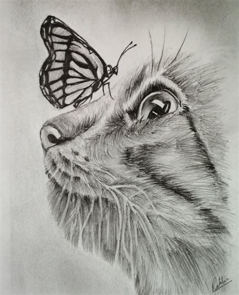 How To Draw Animals 60 Easy Pencil Drawings Of Animals