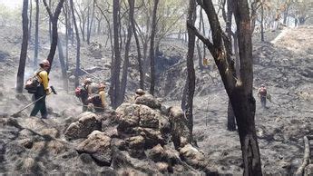 Semadet Activa Alerta Atmosf Rica En Zacoalco De Torres Grupo Milenio