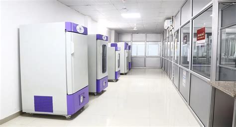 premium quality weighing scale double pan balance  lowest price buy