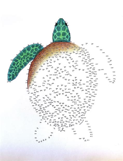Sea Turtle Extreme Dot to Dot PDF Activity and (Instant Download) - Etsy