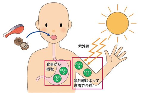 ビタミンd欠乏症で赤ちゃんがくる病になる？その原因や症状について説明！ 看護師ミカの健康ブログ