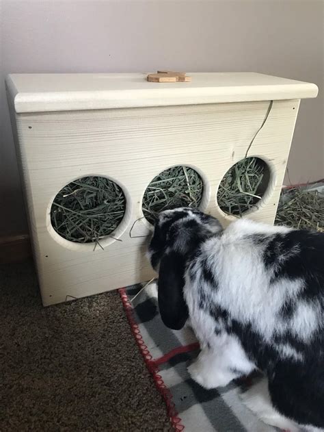 Rabbit Hay Feeder Slim Fit For Tight Spaces Etsy Rabbit Hay Hay