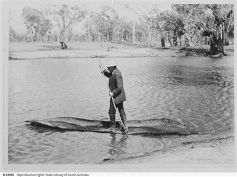 Aboriginal Bark Canoe • Photograph • State Library Of South Australia