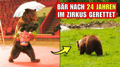 B R Aus Zirkus Gerettet Youtube