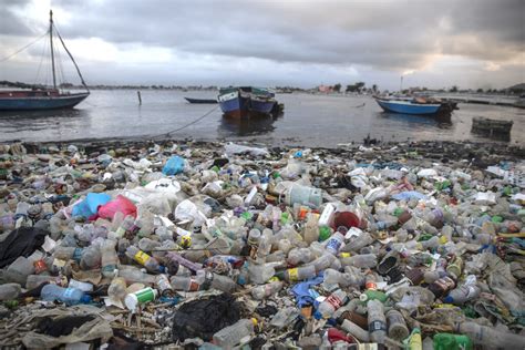 Lutte Contre La Pollution Plastique Une Premi Re Version Du Futur