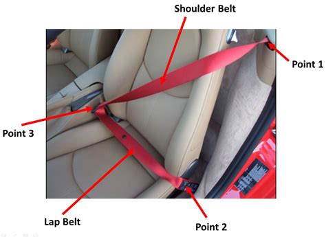 Diagram Of A Seatbelt