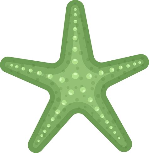 ilustración de diseño de imágenes prediseñadas de estrellas de mar