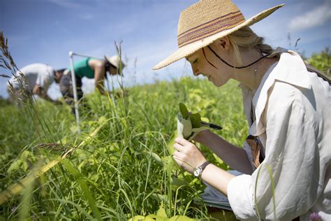 Graduate Agricultural And Life Sciences