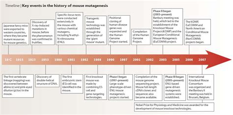 Linea Del Tiempo Timeline Timetoast Timelines