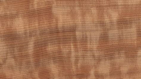 Redwood Sequoia Sempervirens Mondo Legno Srl