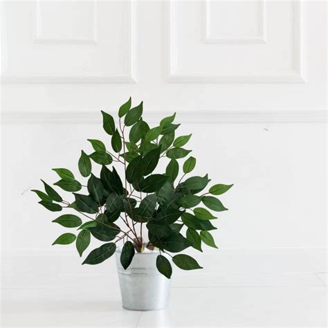 Kit 4 Galho Planta Artificial Folhagem Ficus para Decoração