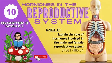 Grade 10 SCIENCE Quarter 3 Module 1 Hormones In The Reproductive