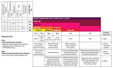 Lung Cancer Staging Essentials The New Tnm Staging System And