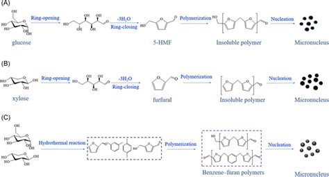 The Nucleation Process Of Glucose A Xylose B And Glucosexylose