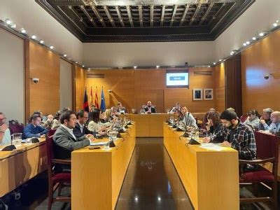 Cr Nica Del Ple Ordinari Del Mes De Novembre Ajuntament