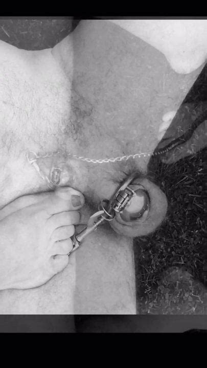 Promenade En Cage Dans Le Jardin Free HD Porn 9a XHamster