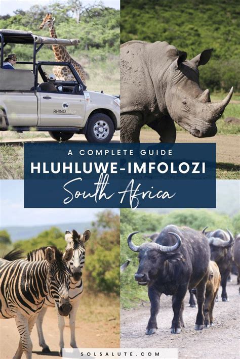 Hluhluwe Imfolozi Park Complete Guide To Kwa Zulu Natal S Best Safari