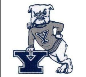 Yale Bulldog Iron on Embroidered Patch - Collectible Ivy