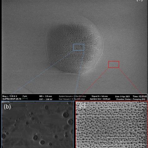 Sem Image Of The Glass Surface With Nano Gold Particles A Area Near Download Scientific