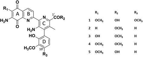 Chemical Structures Of Streptonigrin STN And Related Compounds