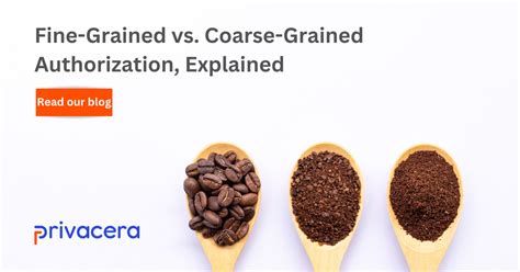 Fine Grained Vs Coarse Grained Authorization Privacera