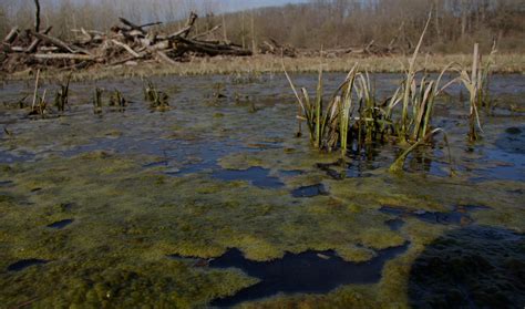 Photo De La Pollution De L Eau - MGP Animation