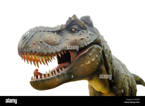 Dinosaurios Tiranosaurio Rex Imágenes Recortadas De Stock Alamy