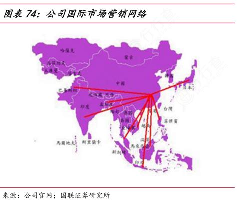 我想了解一下公司国际市场营销网络的真实信息行行查行业研究数据库