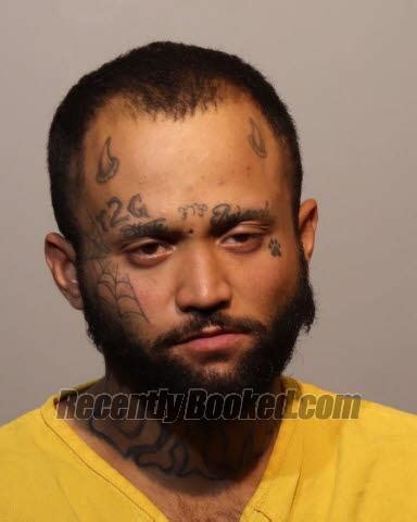 Recent Booking Mugshot For Louis Gonzalez In Seminole County Florida