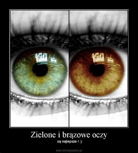 Zielone I Br Zowe Oczy Demotywatory Pl